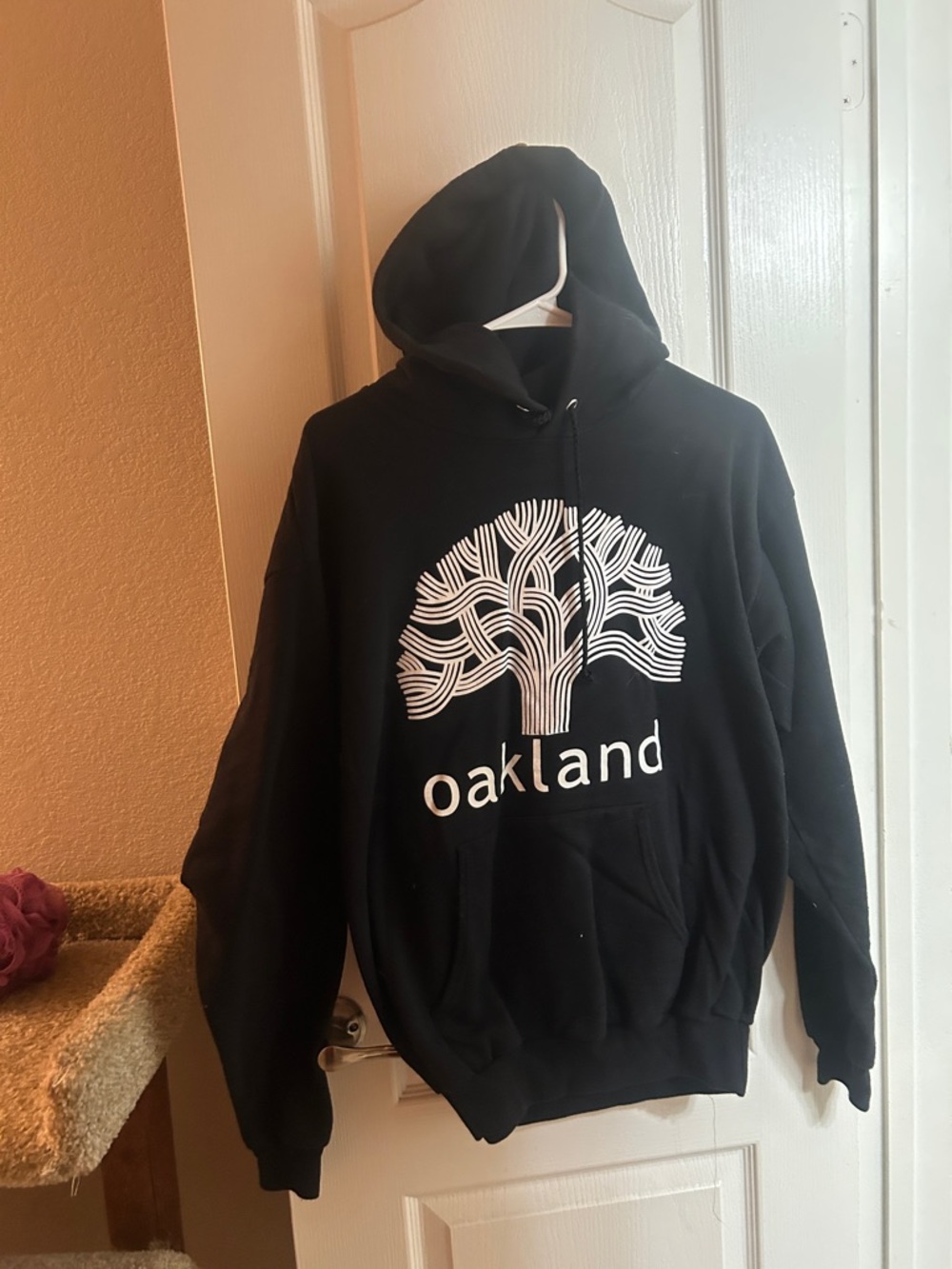 Hanes Black Hoodie with White Graphic